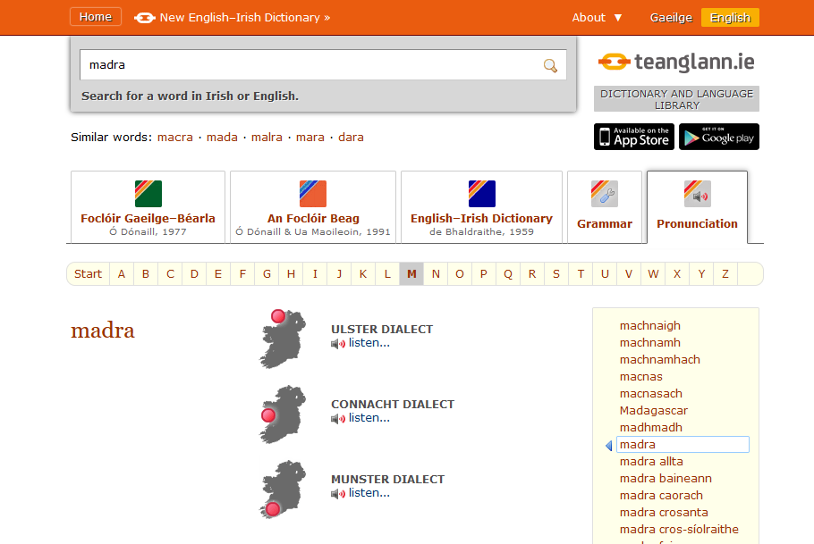 Teanglann – on-line Dictionary and Language Library