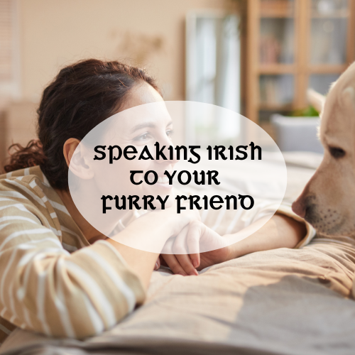 Irish Immersion: Speaking Irish to Your Furry Friend